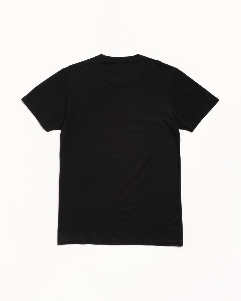 Stussy TEES 3 PACK